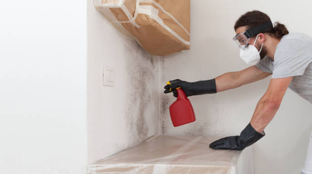 Professional Bathroom Mold Removal technician working in Irvona, PA
