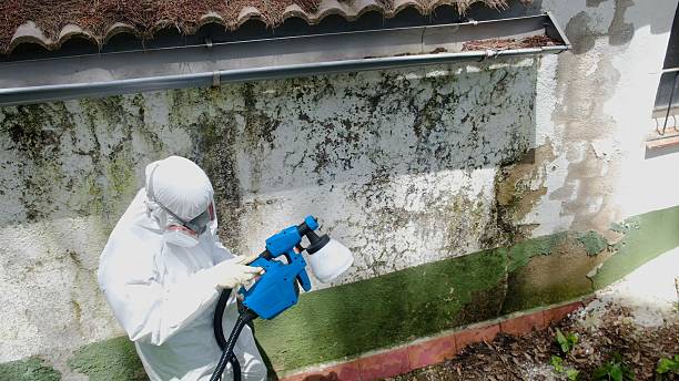Top rated local Bathroom Mold Removal specialists in Irvona, PA